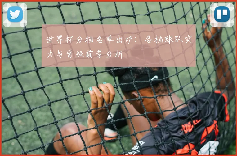 世界杯分档名单出炉：各档球队实力与晋级前景分析
