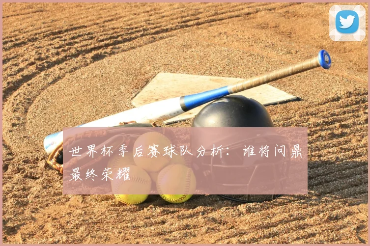 世界杯季后赛球队分析:谁将问鼎最终荣耀