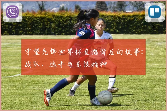 守望先锋世界杯直播背后的故事：战队、选手与竞技精神