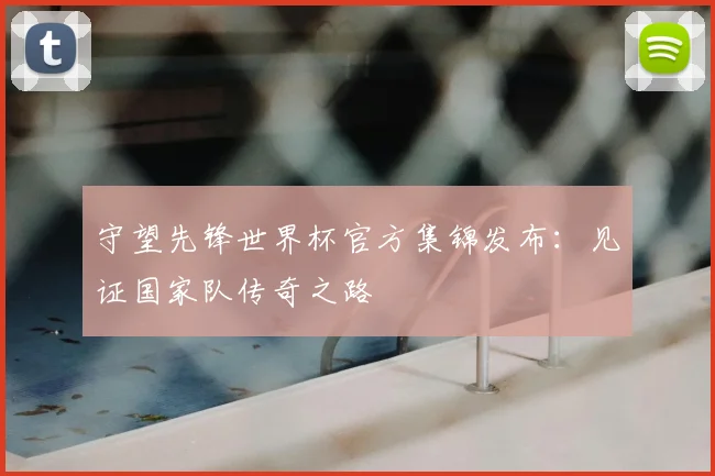 守望先锋世界杯官方集锦发布：见证国家队传奇之路
