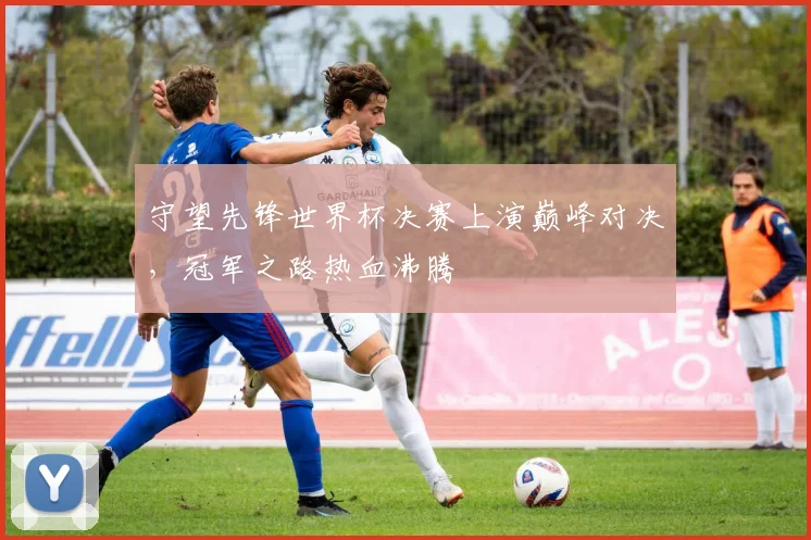 守望先锋世界杯决赛上演巅峰对决，冠军之路热血沸腾